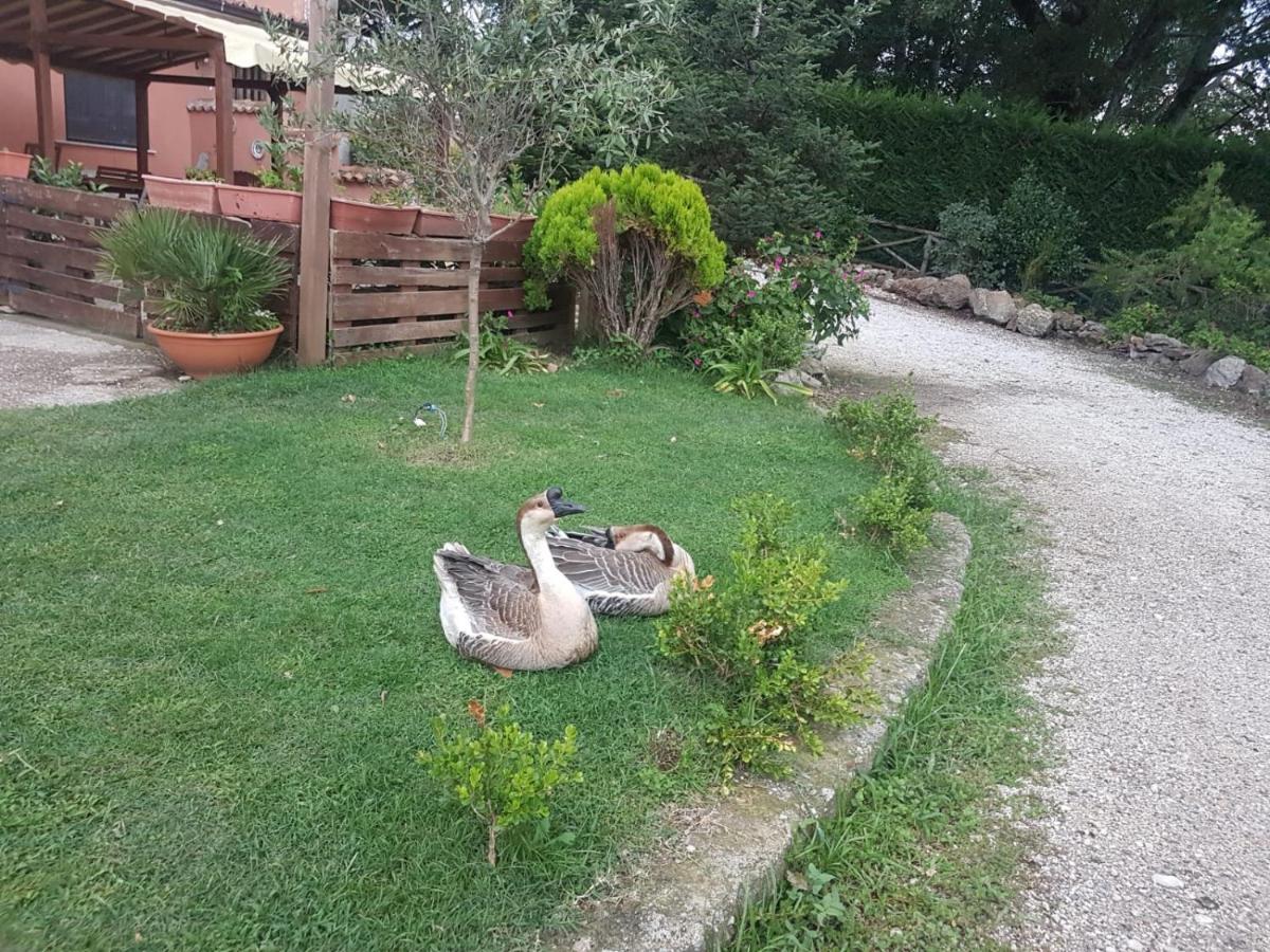 Bed and Breakfast Georgerock Grimaldi  Esterno foto