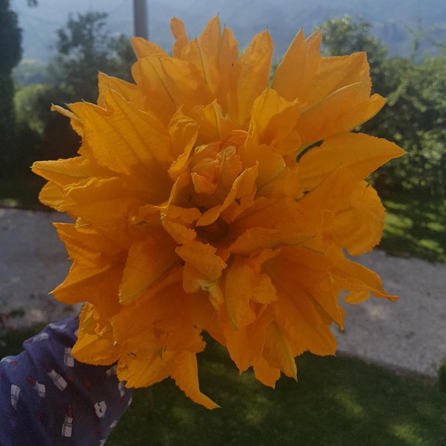 Bed and Breakfast Georgerock Grimaldi  Esterno foto